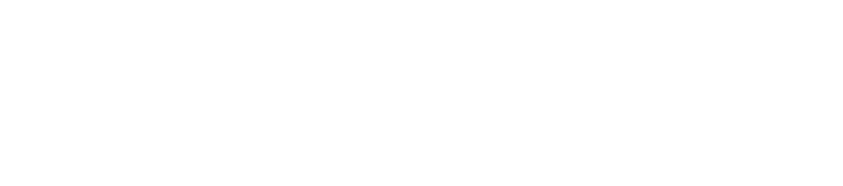 DRAINX